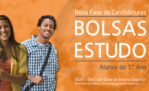 isdom-bolsas